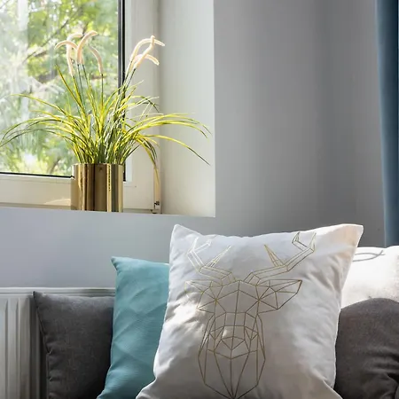 Elegancki Katowa 11 Praca Zdalna By Renters Apartment Krakow